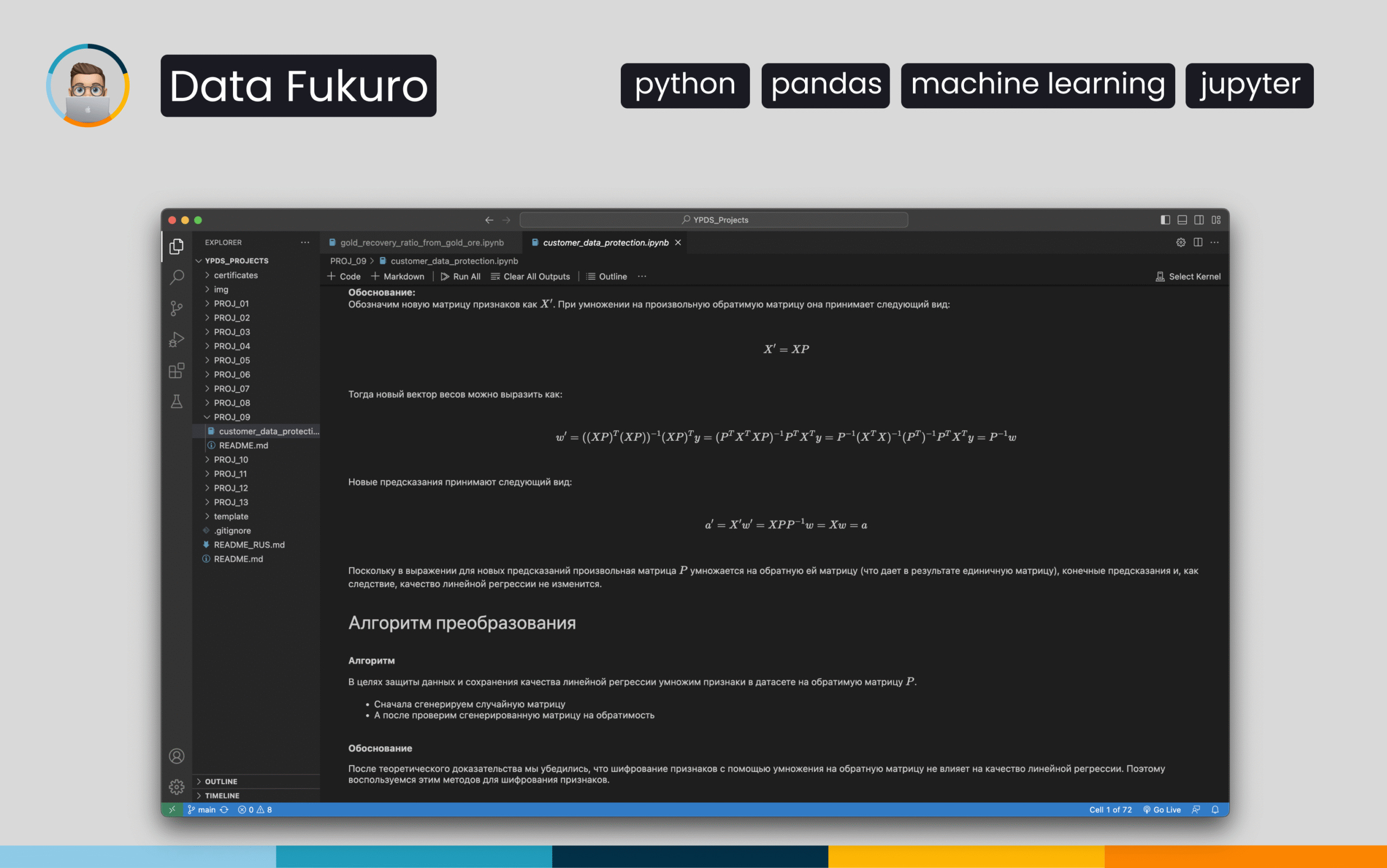 Protecting Customer Data with Linear Transformation